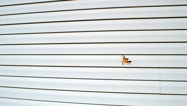 Best Aluminum Siding Installation  in Fillmore, CA